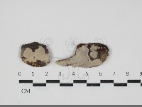 登錄號:F0034246藏品圖，第1張