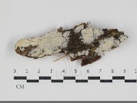 館號:F0034248藏品圖，第1張