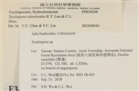 館號:F0034248藏品圖，第3張