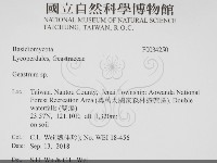 地星屬藏品圖，第2張