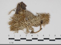 登錄號:F0034252藏品圖，第1張