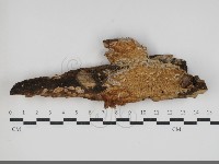 登錄號:F0034253藏品圖，第1張