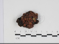 登錄號:F0034254藏品圖，第1張