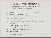 登錄號:F0034255藏品圖，第2張