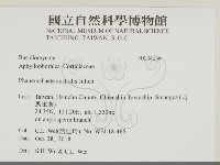 登錄號:F0034256藏品圖，第2張