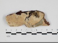 登錄號:F0034256藏品圖，第1張