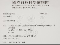 登錄號:F0034258藏品圖，第2張