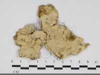 登錄號:F0034258藏品圖，第1張