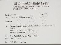 登錄號:F0034259藏品圖，第2張