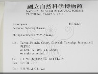 登錄號:F0034260藏品圖，第2張