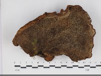 登錄號:F0034262藏品圖，第3張