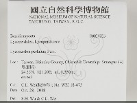 登錄號:F0034263藏品圖，第2張