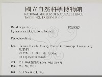 擬筍殼菌屬藏品圖，第2張