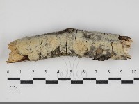 登錄號:F0034266藏品圖，第1張