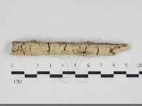 登錄號:F0034268藏品圖，第1張