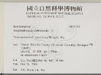 登錄號:F0034269藏品圖，第2張