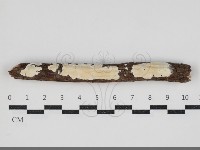 登錄號:F0034269藏品圖，第1張