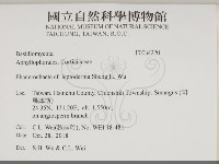 登錄號:F0034270藏品圖，第2張