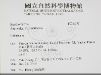 盔孢傘屬藏品圖，第2張