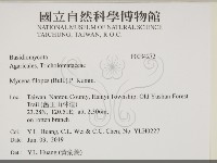 登錄號:F0034272藏品圖，第2張