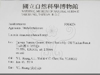 登錄號:F0034274藏品圖，第2張