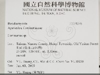 登錄號:F0034276藏品圖，第2張