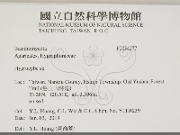 濕傘屬藏品圖，第2張