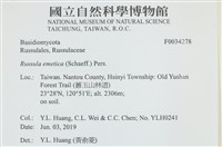 登錄號:F0034278藏品圖，第4張