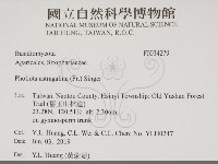 登錄號:F0034279藏品圖，第2張