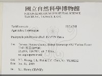 登錄號:F0034281藏品圖，第2張