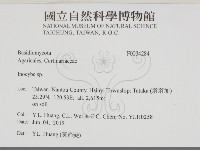 登錄號:F0034284藏品圖，第2張