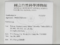 登錄號:F0034285藏品圖，第2張