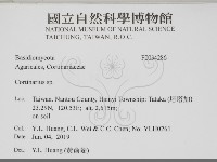 登錄號:F0034286藏品圖，第2張