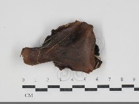 登錄號:F0034288藏品圖，第1張