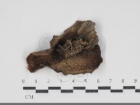 登錄號:F0034288藏品圖，第3張