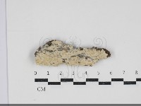 登錄號:F0034289藏品圖，第1張