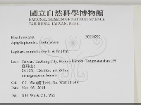 登錄號:F0034290藏品圖，第2張