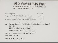 登錄號:F0034291藏品圖，第2張