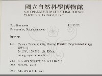 耙菌屬藏品圖，第2張