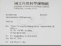 登錄號:F0034293藏品圖，第2張