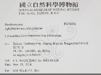 登錄號:F0034296藏品圖，第2張