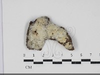 登錄號:F0034296藏品圖，第1張