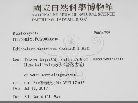 登錄號:F0034298藏品圖，第2張