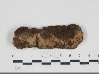 登錄號:F0034299藏品圖，第1張