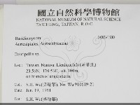 登錄號:F0034300藏品圖，第2張