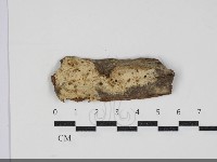 登錄號:F0034300藏品圖，第1張