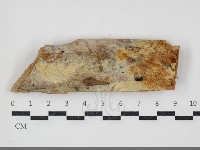 登錄號:F0034303藏品圖，第1張