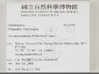 煙管菌藏品圖，第2張