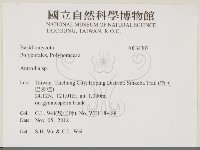 薄孔菌屬藏品圖，第2張