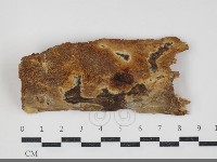 登錄號:F0034310藏品圖，第1張